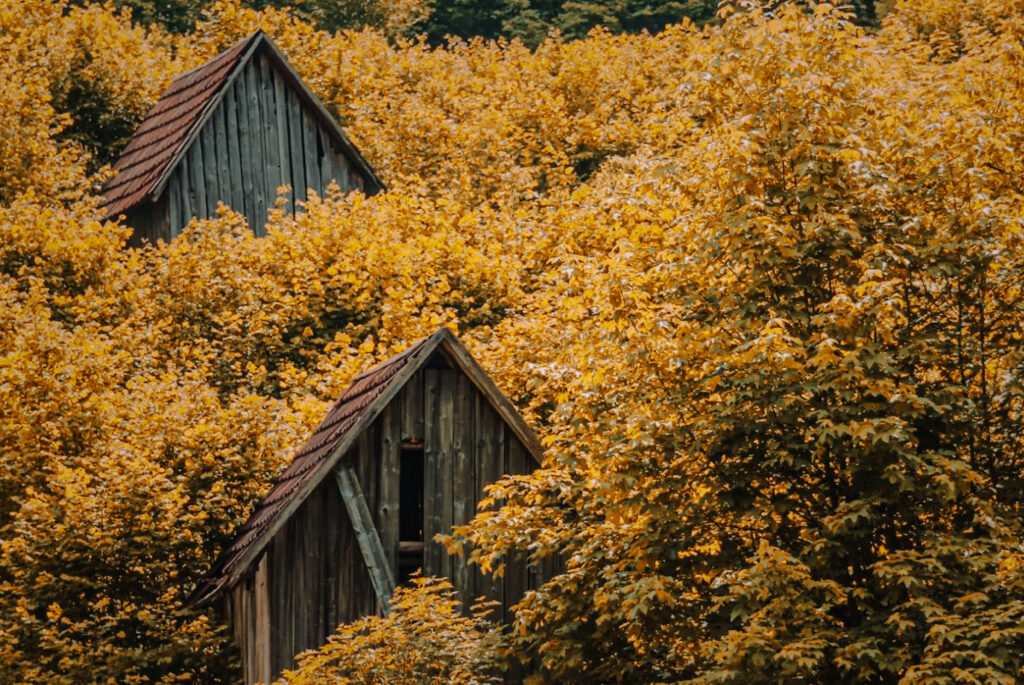 Screenshot 2024-02-09 at 13.42.59